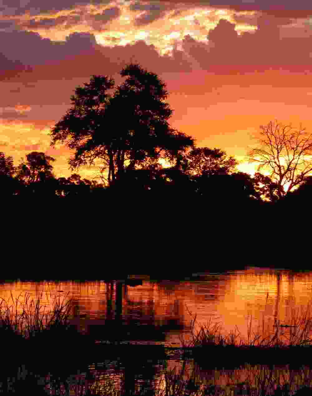 Ptlg Okavango Delta - PTLG : Bespoke & Curated Travels!